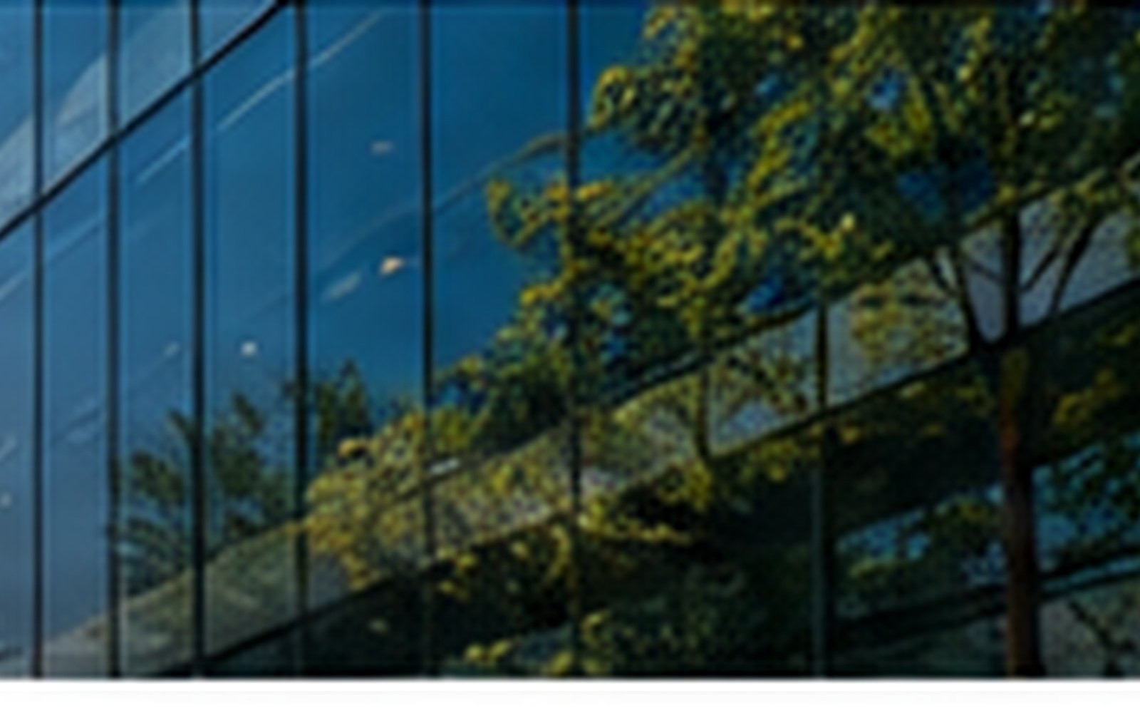 Modern commercial building and facilities environment
